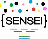The SENSEI  project